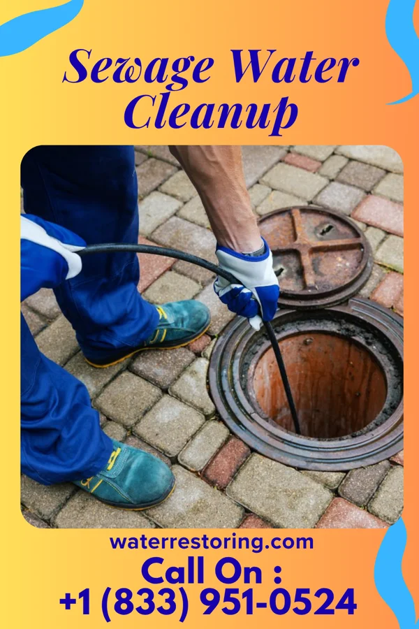 Sewage Water Cleanup in Maple Lake, MN